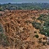 © Elliot Barnathan PhotoID# 11731243: Broken Hill at Torrey Pines 7