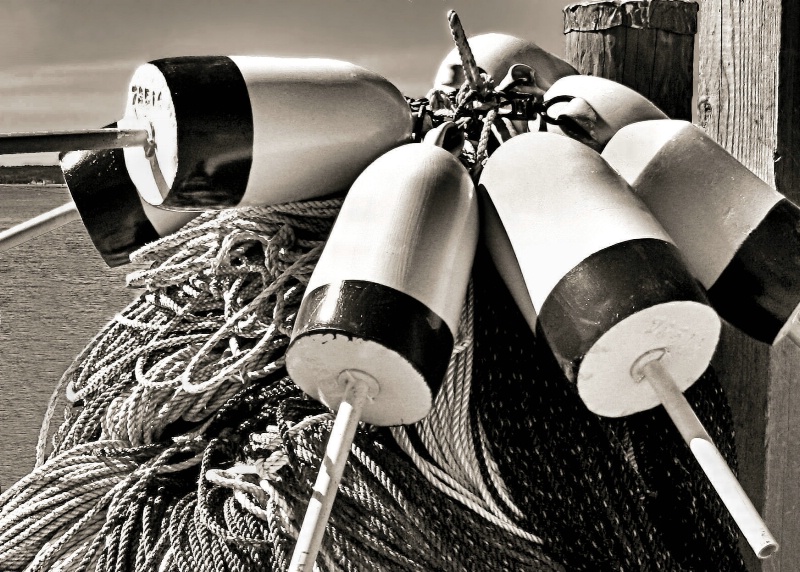 Lobster Trap Buoys in BW