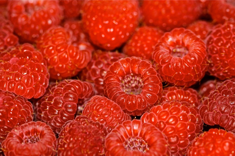 Raspberries - ID: 11737239 © Cynthia M. Wiles