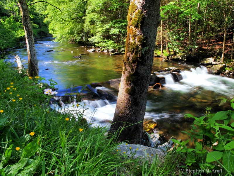 Little River Small Falls