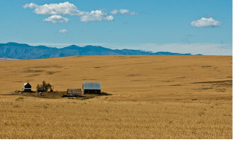 lonely farmland before