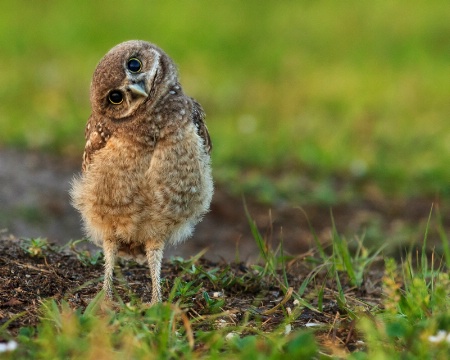 So Curious!