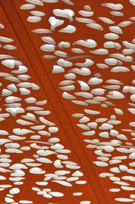 Goldfish Ceiling Abstract