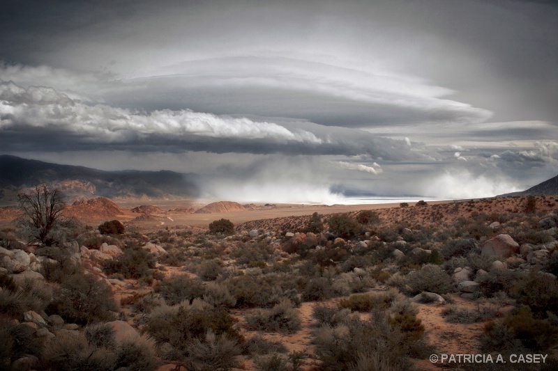 OWENS VALLEY STORM - ID: 11752078 © Patricia A. Casey