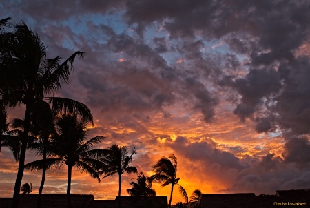Sunrise Over Maui