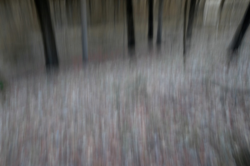 Original Motion Blur Image