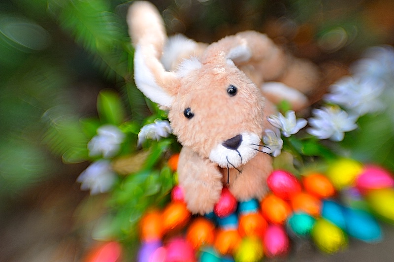 toy stories : easter bunny - ID: 11761541 © Sibylle G. Mattern
