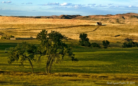 Wyoming Farmland