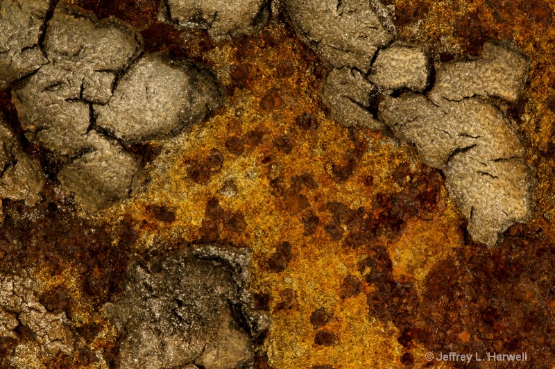 Rusty Wall Closeup