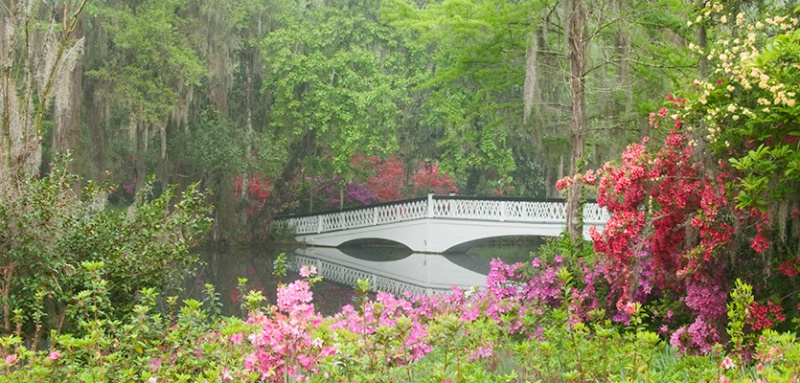 Magnolia Gardens Bridge 6725 - ID: 11767582 © Susan Milestone