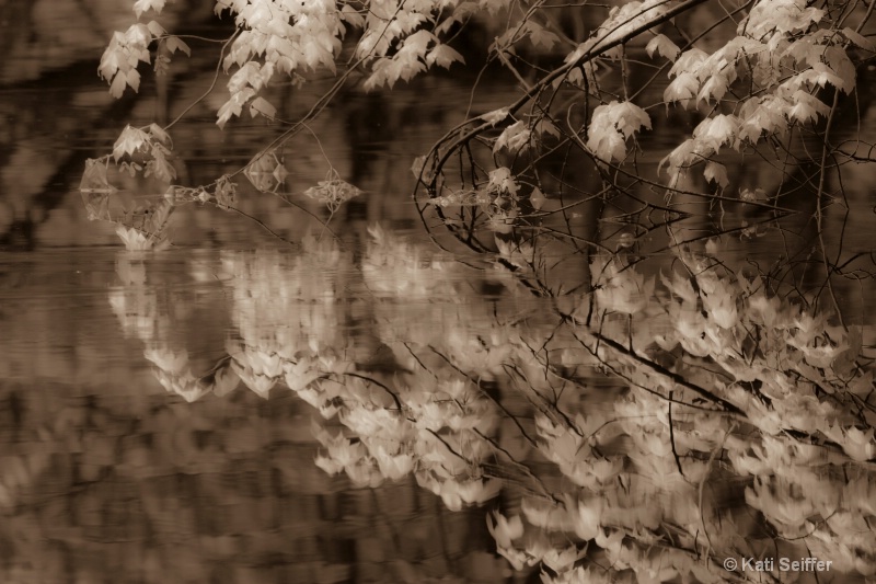 Spring reflection