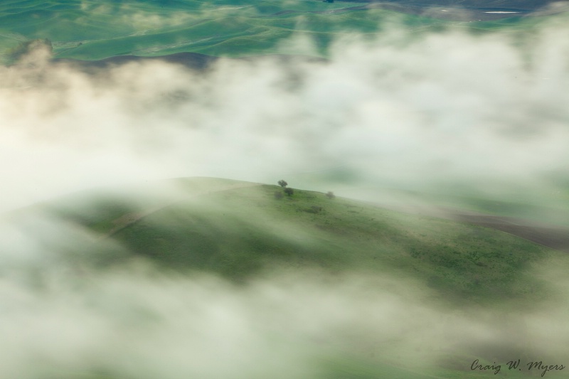 Morning Fog - ID: 11772032 © Craig W. Myers