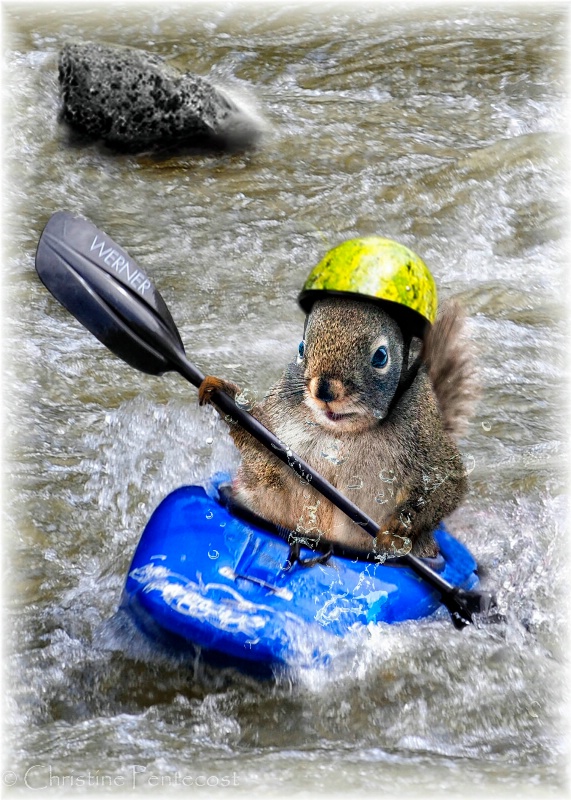 Kayaking Squirrel