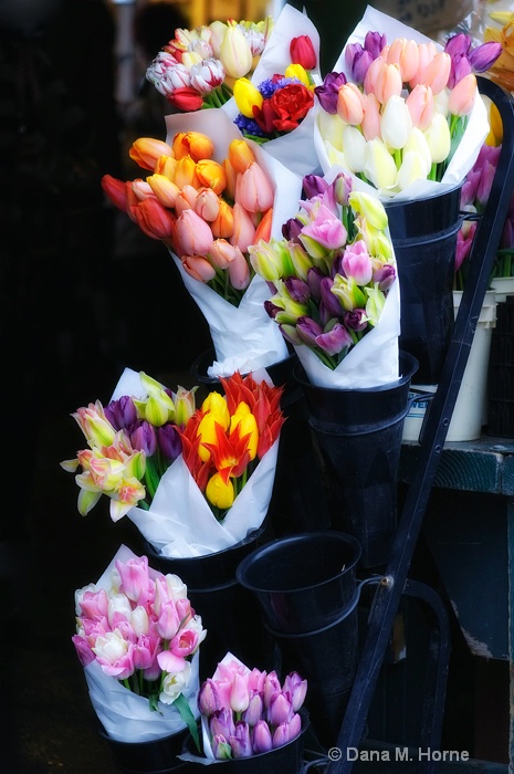 Spring Bouquets-Pike Place Market - ID: 11772981 © Dana M. Scott