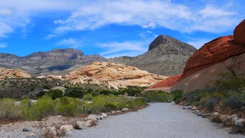 Red Rock Canyon #1