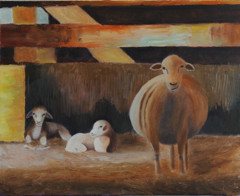 Sheep Family - Oil 16x20
