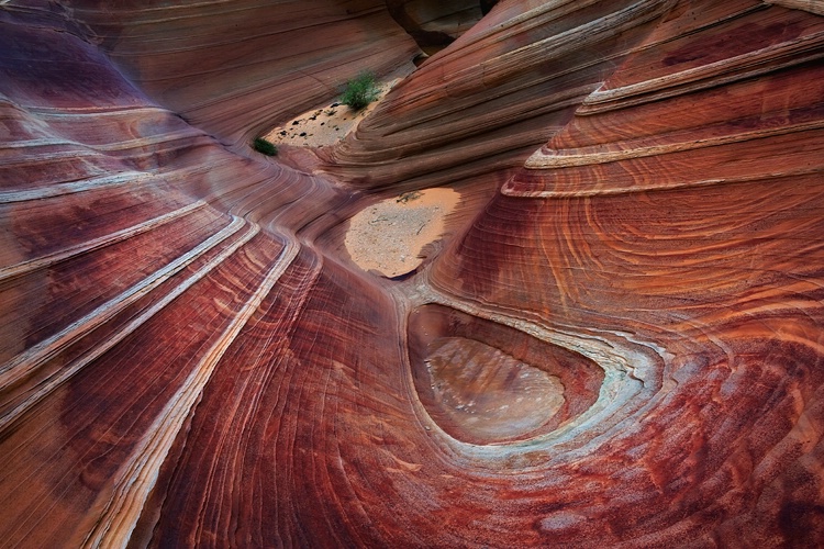 S Coyote Buttes