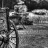 2Nashville Wagon - ID: 11785569 © Dana M. Scott
