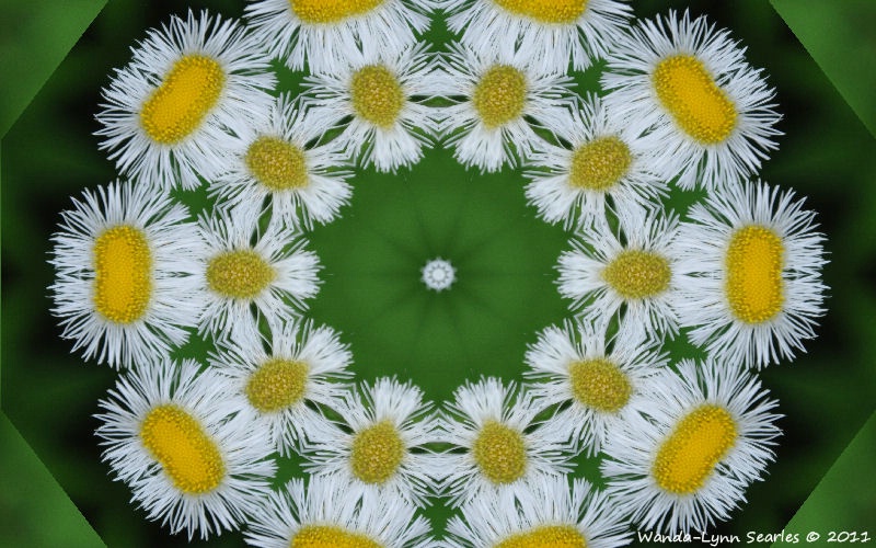 img2