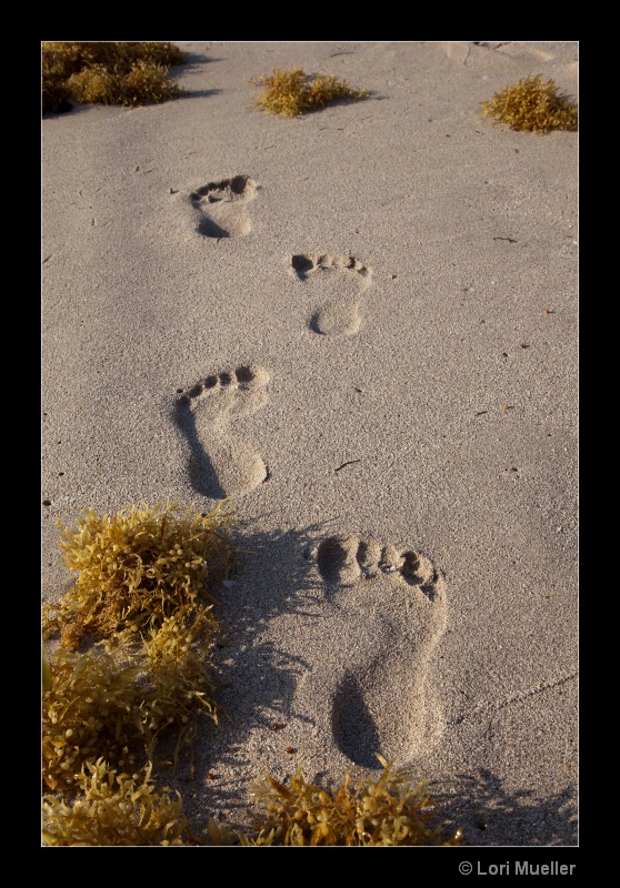 Footprints on Miami Beach