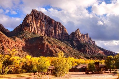 Fall, in Zion