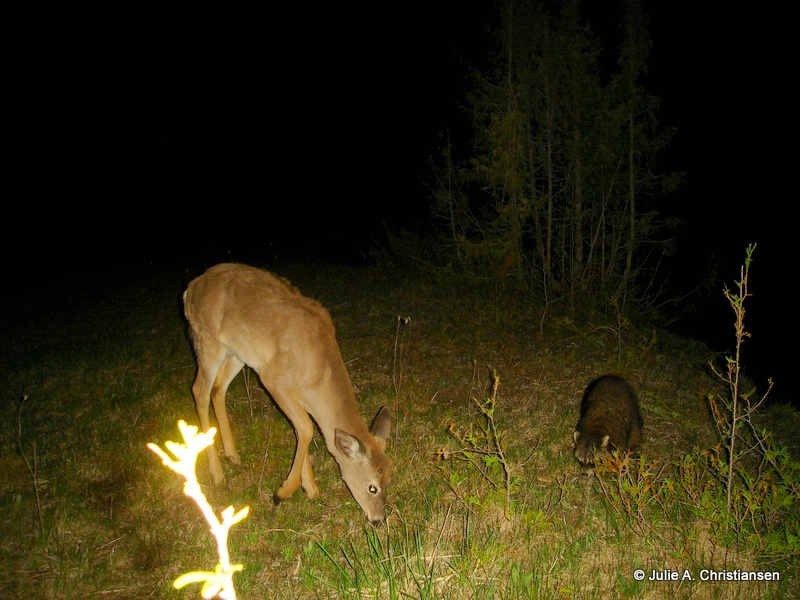 Sharing Food.......