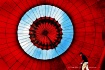 circles and lines