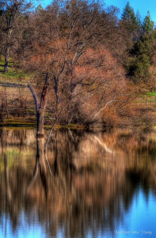 Winter Reflections