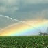 © Deborah H. Zimmerman PhotoID # 11798073: Making Rainbows
