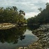 Still Suwanee River - ID: 11798101 © Deb. Hayes Zimmerman