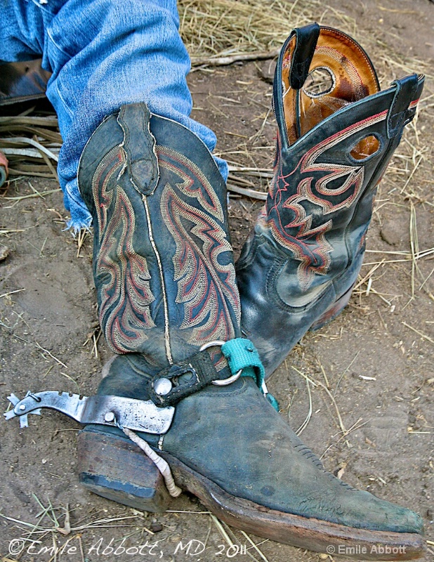 Boots and Spur - ID: 11800323 © Emile Abbott