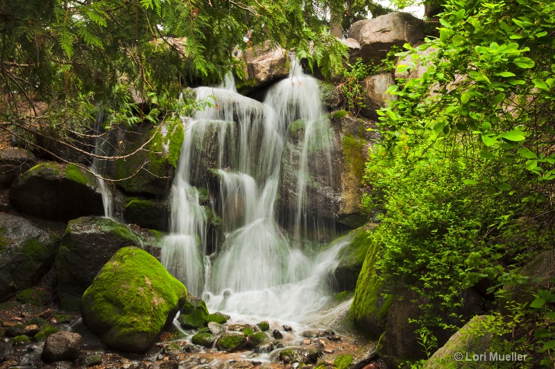 Waterfall at Arboretum (8x10)