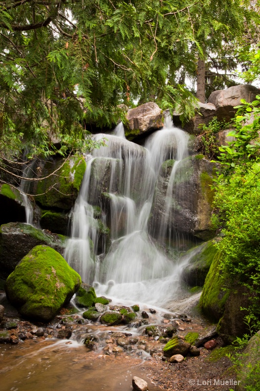 Upper Waterfall at Arboretum
