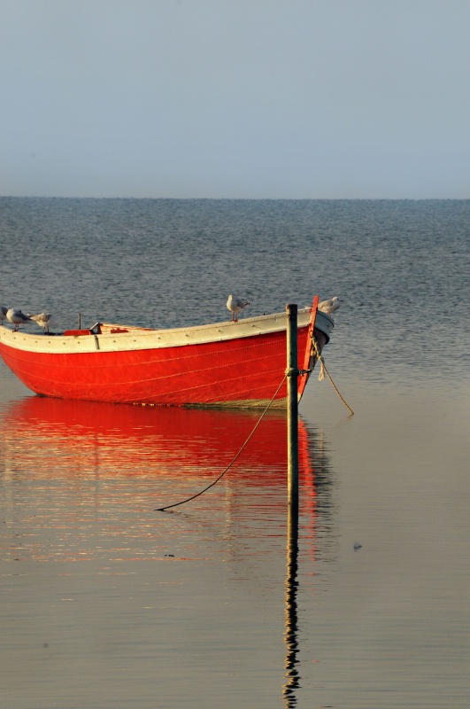 The Little Red Boat - ID: 11805323 © Shelia Earl