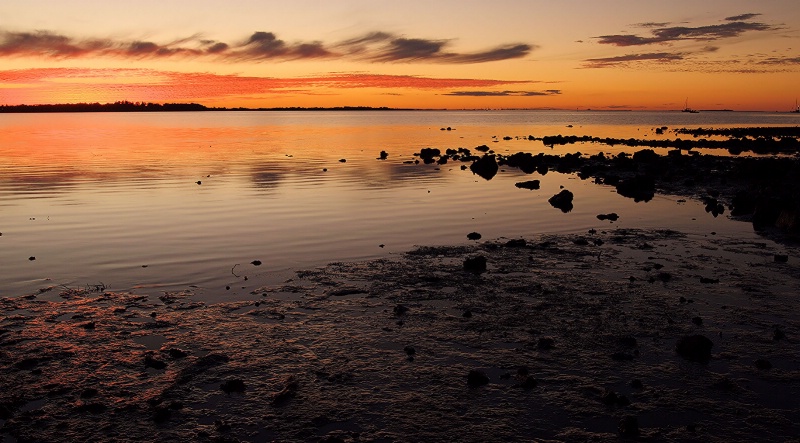 Sunset at Cleveland Point, Qld, Australia