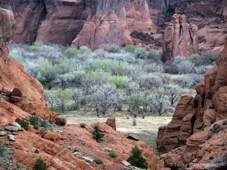 Canyon de Chelly