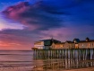 Dawn, Old Orchard...