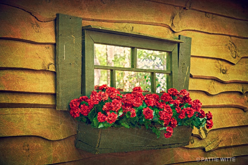 window box flowers
