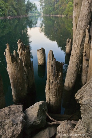 Snoqualmie River Pilings
