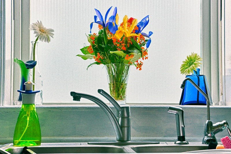 Flowers in the Kitchen Window