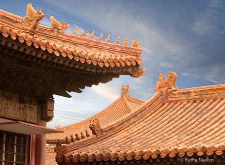 Rooftops of the Forbidden City
