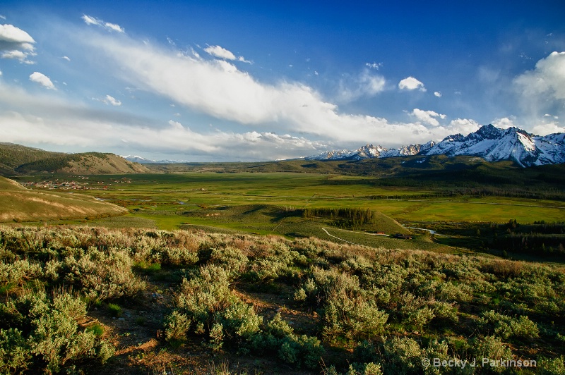 The Stanley Basin