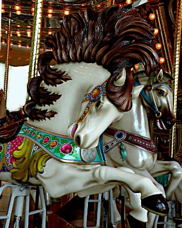 Carousel Horses 