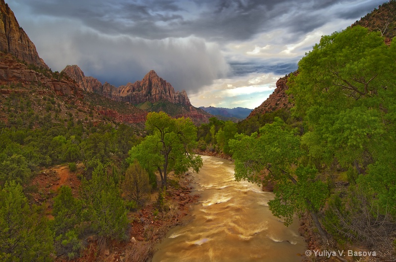 Overlooking the Virgin River - ID: 11846608 © Yulia Basova