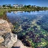 © Elliot Barnathan PhotoID# 11849588: Martha's Vineyard 47