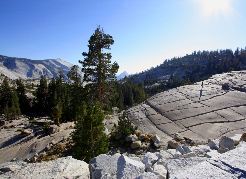 lone hiker