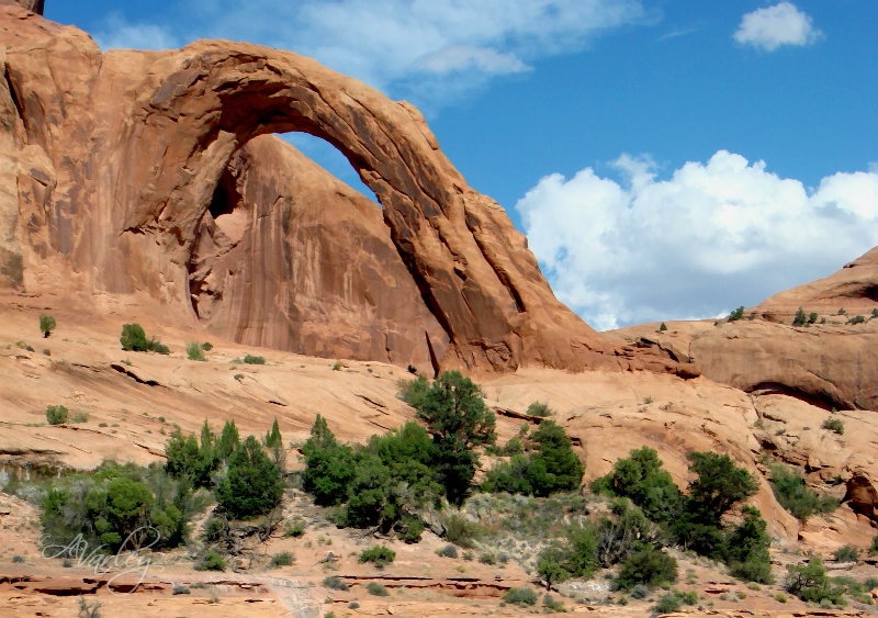 little rainbow bridge