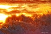 Waves on Fire