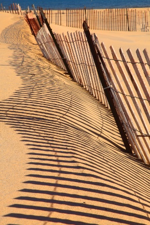 Fence Shadows