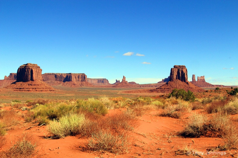 Desert Beauty - ID: 11865430 © Terry Jennings